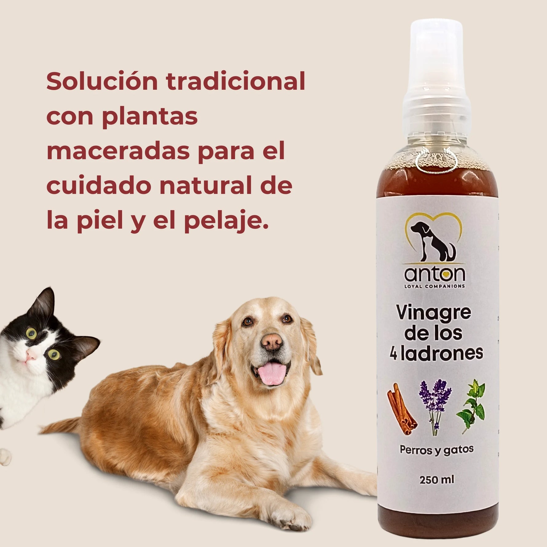 Vinagre de los 4 ladrones de ANTON para perros y gatos, solución natural con plantas maceradas para el cuidado de la piel y el pelaje