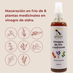 Vinagre de los 4 ladrones de ANTON con maceración en frío de 8 plantas medicinales en vinagre de sidra, frasco de 250 ml