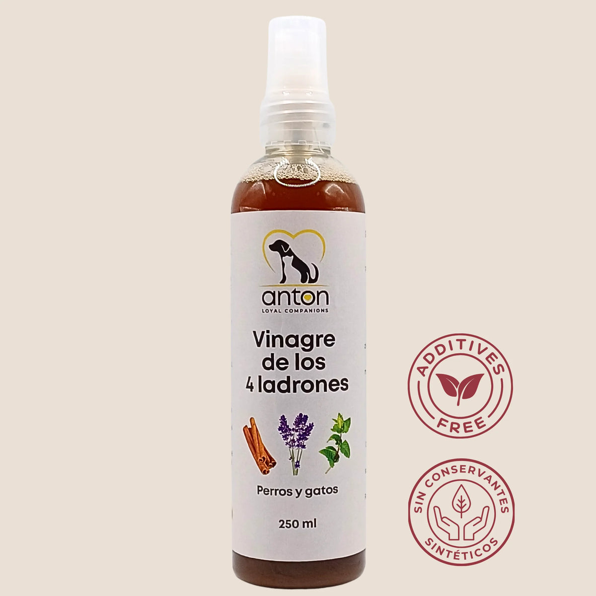 Vinagre de los 4 ladrones de ANTON, frasco de 250 ml con sellos sin aditivos y sin conservantes sintéticos