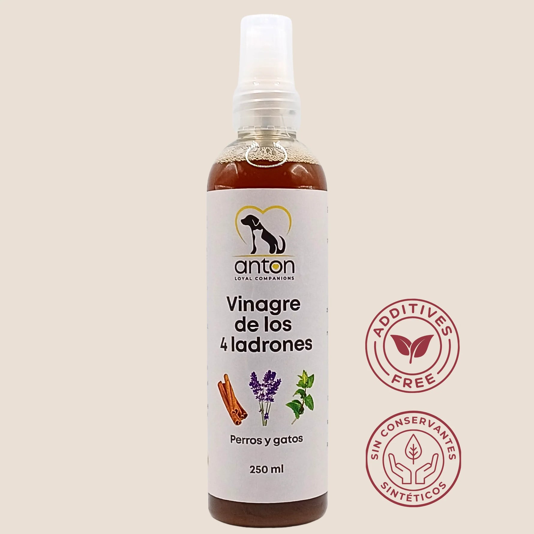 Vinagre de los 4 ladrones de ANTON, frasco de 250 ml con sellos sin aditivos y sin conservantes sintéticos