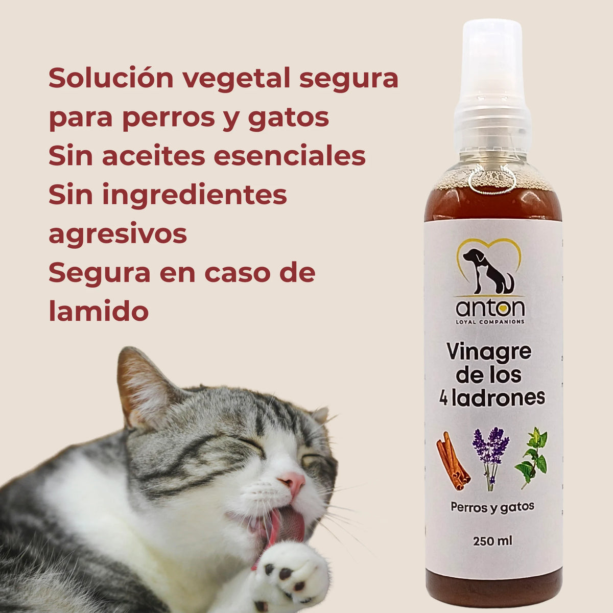 Solución vegetal segura para perros y gatos, sin aceites esenciales ni ingredientes agresivos, vinagre de los 4 ladrones ANTON