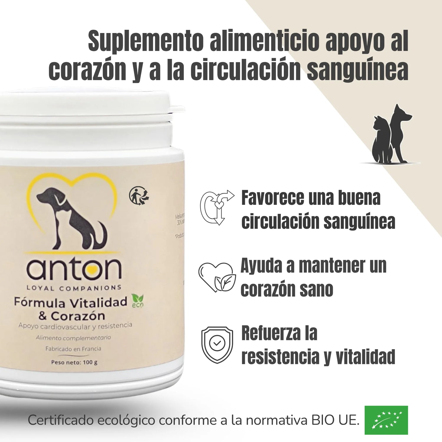 Beneficios del suplemento ANTON: apoya la función cardíaca, mejora la circulación sanguínea y refuerza la vitalidad.