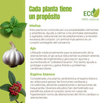 Descripción de ingredientes naturales del suplemento: melisa, ajo y espino blanco, conocidos por su acción cardiotónica.