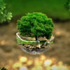 Árbol verde flotando en esfera transparente como símbolo de protección ambiental