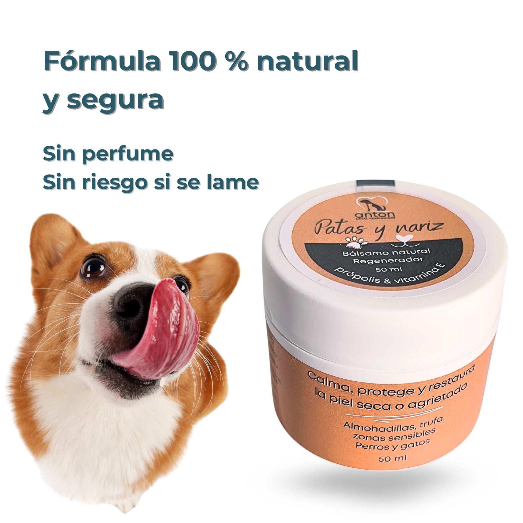 Bálsamo Natural para Patas y Nariz – Perros y Gatos - 50ml_Anton Loyal Companions