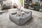 Bulldog francés descansando en una cama ortopédica SMOOTH color gris