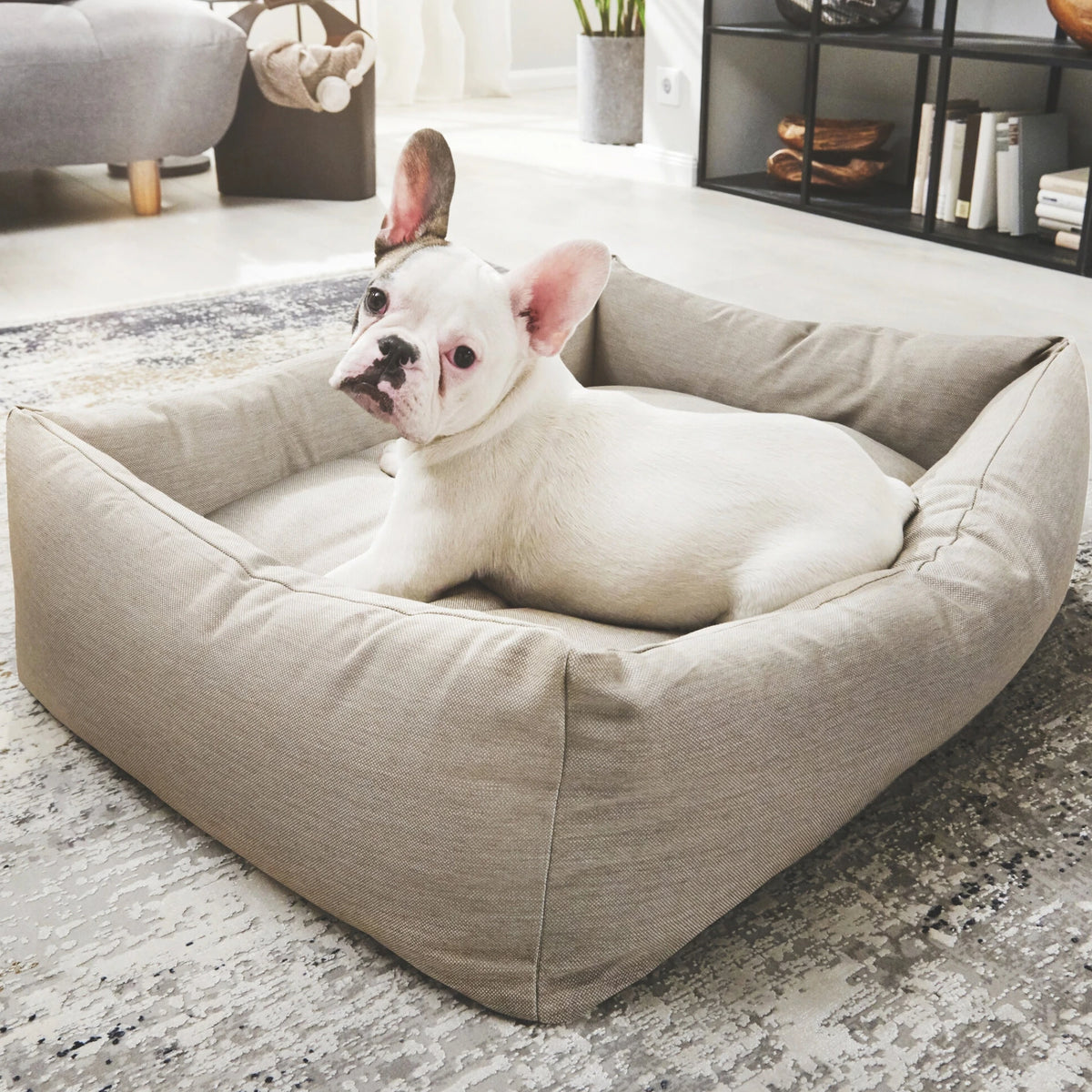 Bulldog francés descansando en una cama ortopédica SMOOTH de color beige en un salón luminoso.