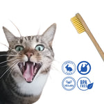 Cepillo de dientes de bambú para perros y gatos, junto a un gato atigrado con la boca abierta. Infografía con símbolos vegano, cruelty free, sin BPA y sin plástico.