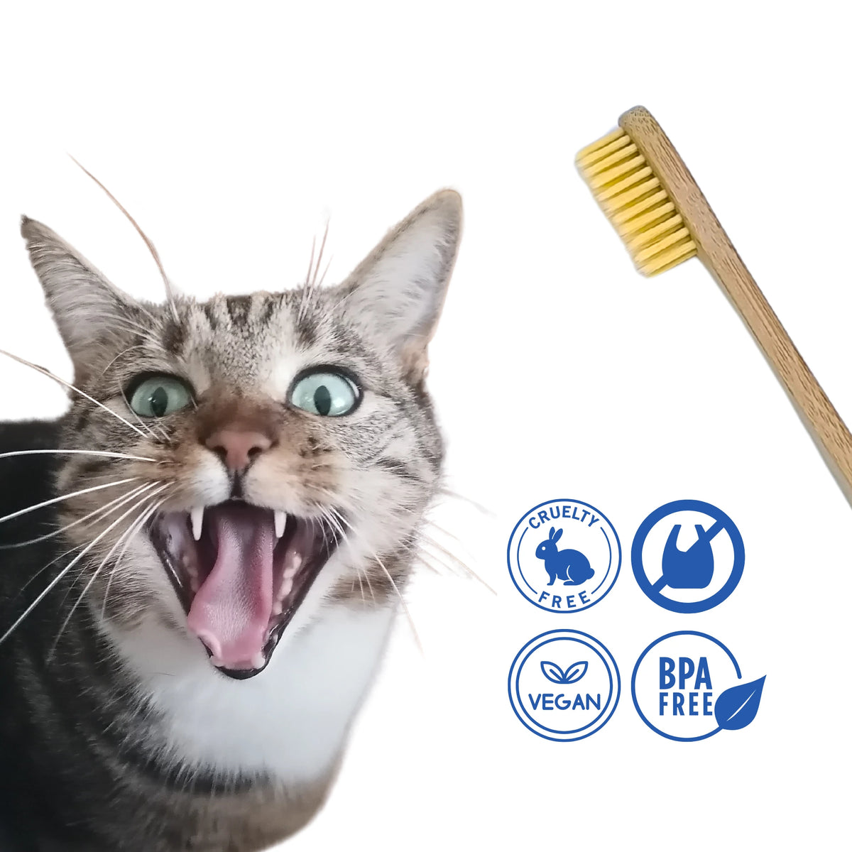 Cepillo de dientes de bambú para perros y gatos, junto a un gato atigrado con la boca abierta. Infografía con símbolos vegano, cruelty free, sin BPA y sin plástico.