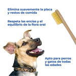 Infografía de un cepillo de dientes de bambú para perros y gatos, con cerdas suaves para eliminar la placa y los restos de comida, respetar las encías y facilitar la higiene bucal a cualquier edad.