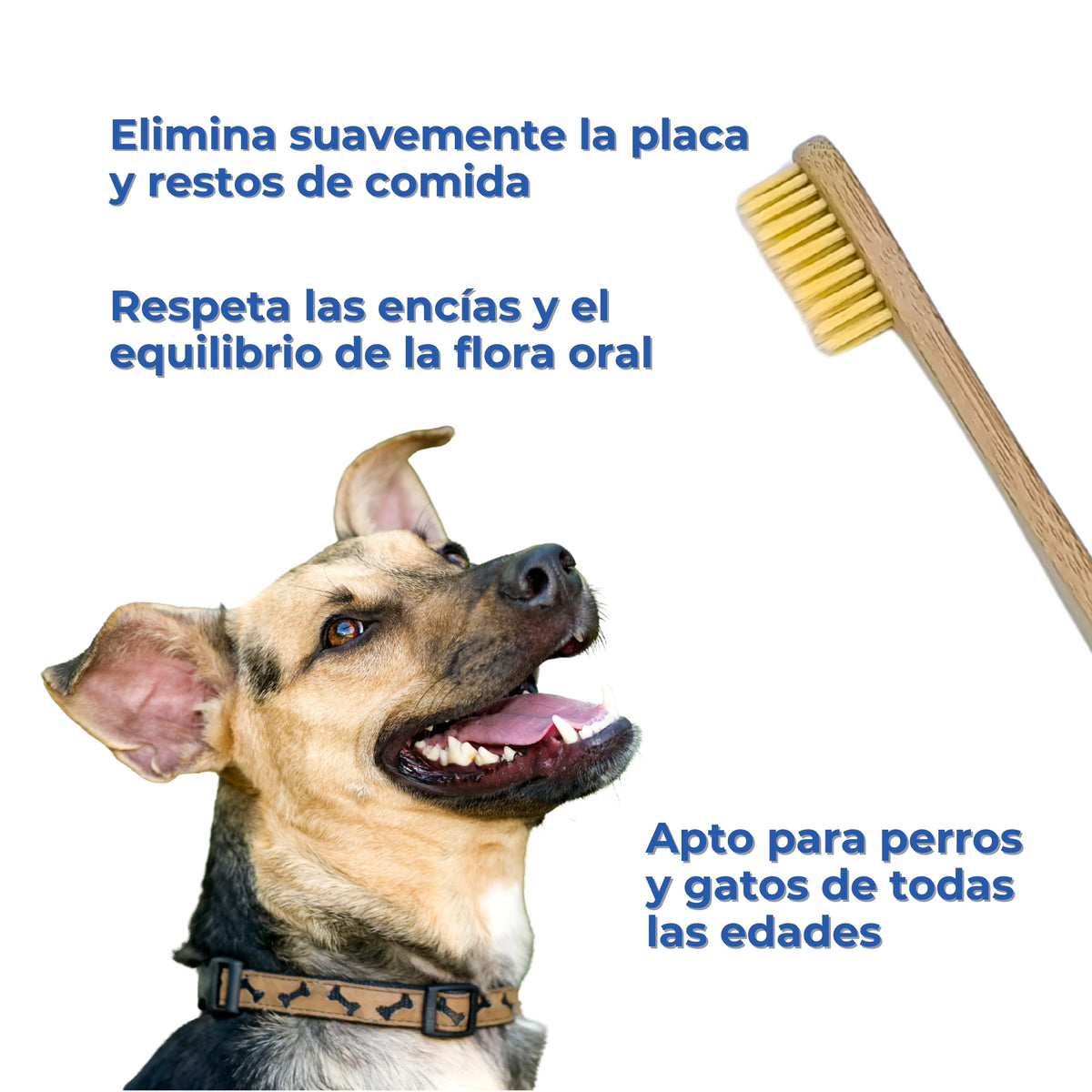 Infografía de un cepillo de dientes de bambú para perros y gatos, con cerdas suaves para eliminar la placa y los restos de comida, respetar las encías y facilitar la higiene bucal a cualquier edad.