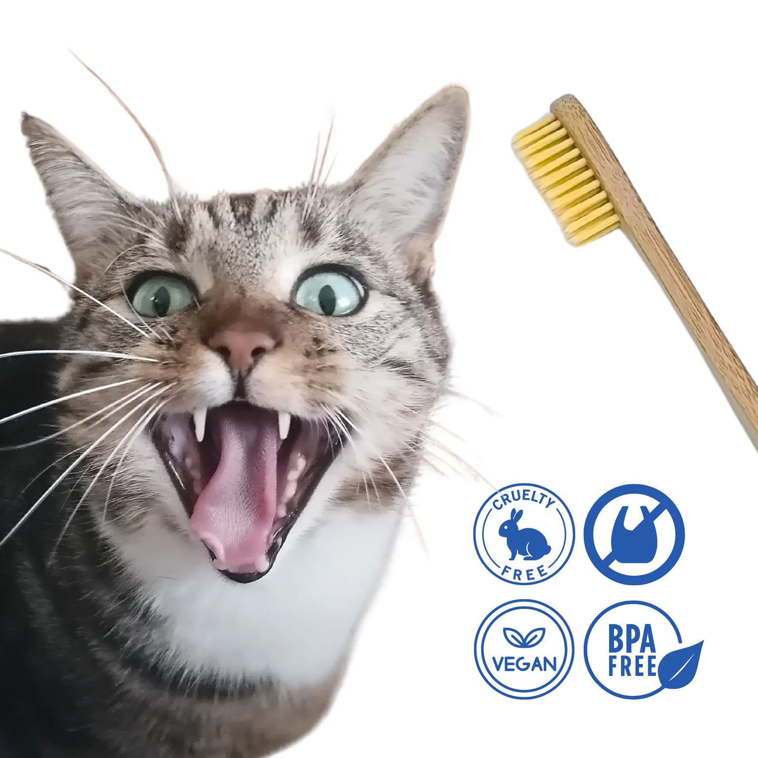 Cepillo dental vegano, libre de crueldad y sin BPA – para mascotas