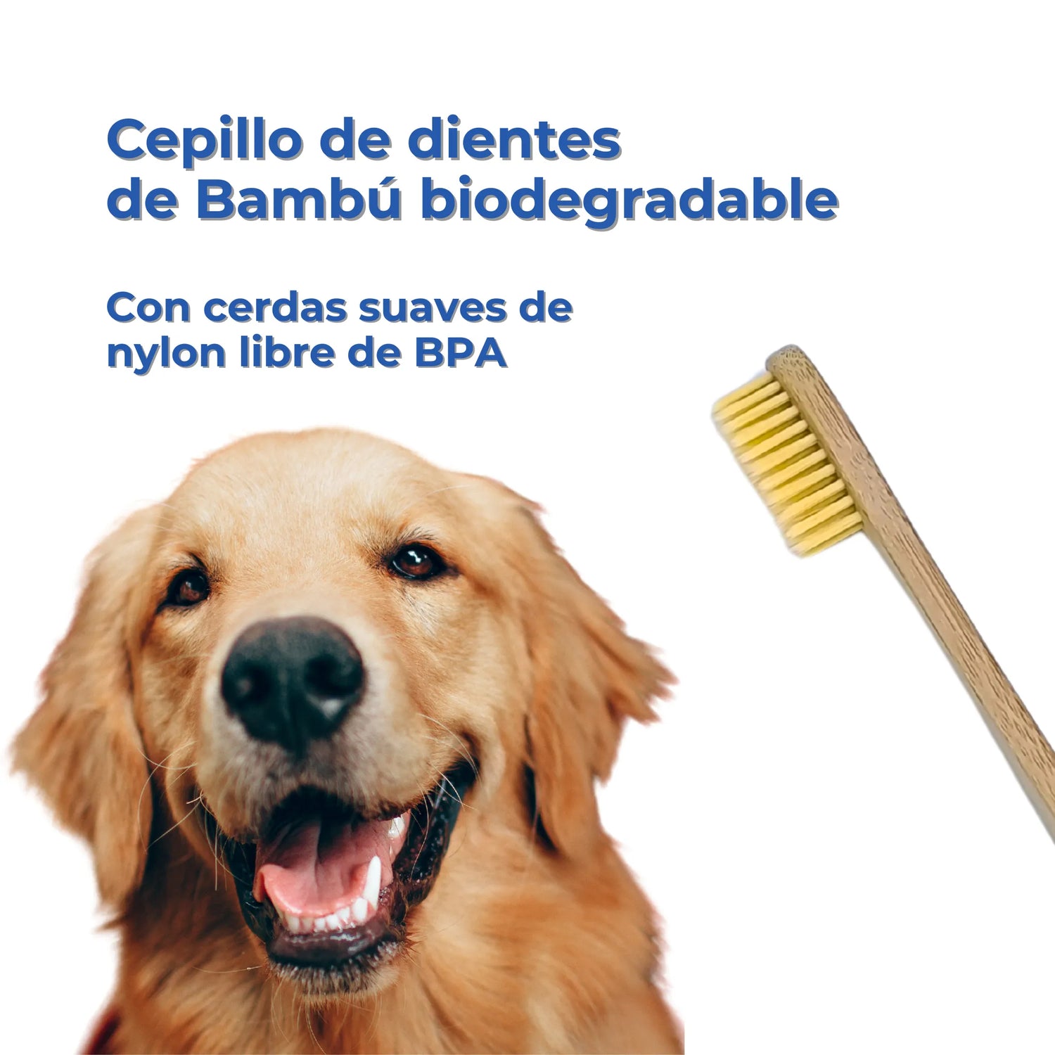 Cepillo de bambú para perros con cerdas suaves sin BPA