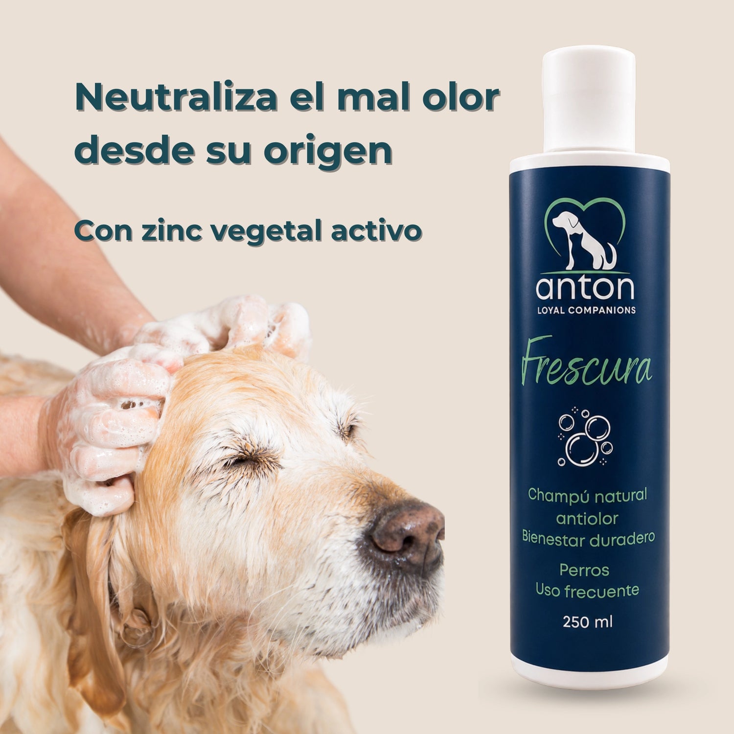 Champú natural antiolor Frescura ANTON Loyal Companions para perros con zinc vegetal activo. Ayuda a neutralizar el mal olor desde su origen y proporciona una sensación de frescor duradero.