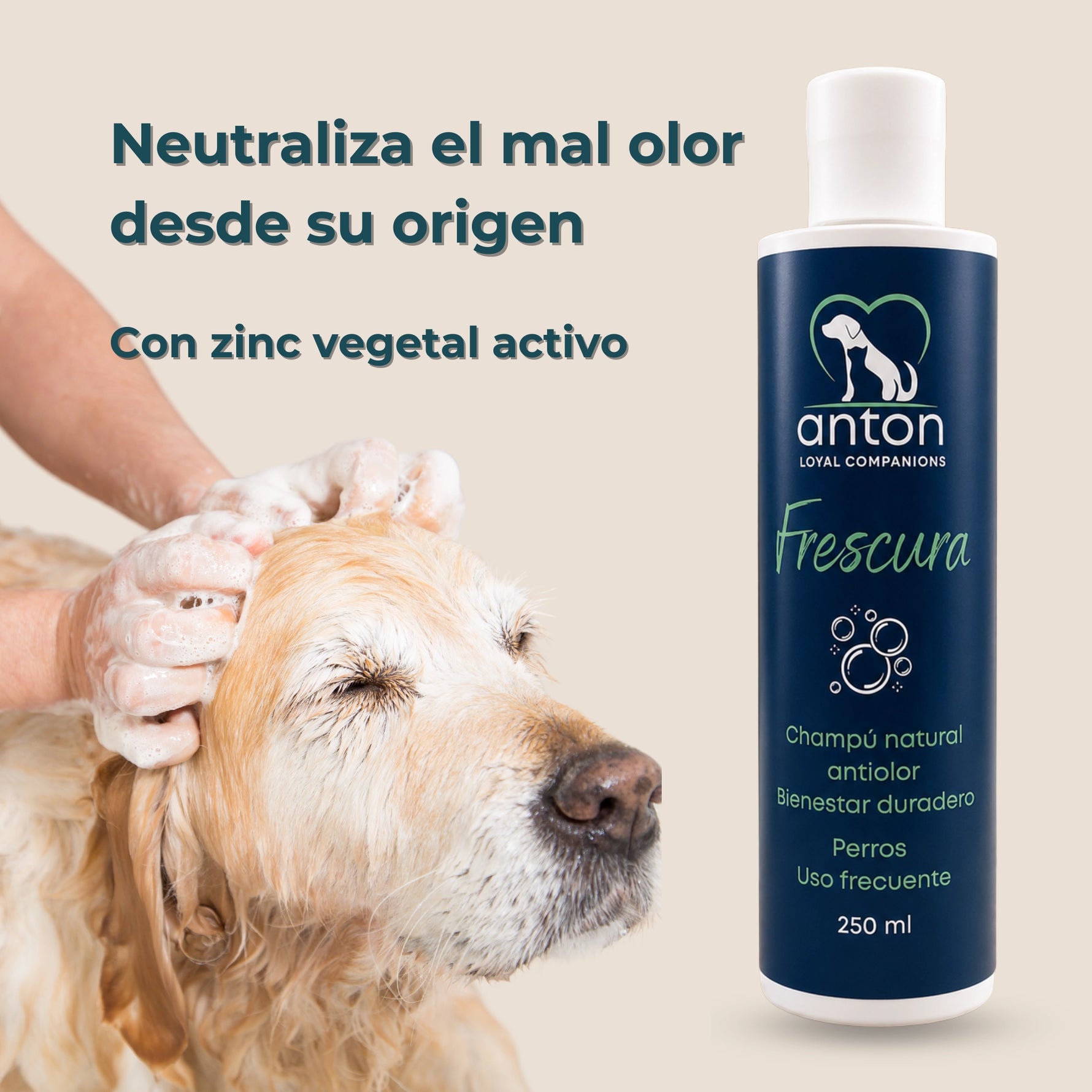 Champú natural antiolor Frescura ANTON Loyal Companions para perros con zinc vegetal activo. Ayuda a neutralizar el mal olor desde su origen y proporciona una sensación de frescor duradero.