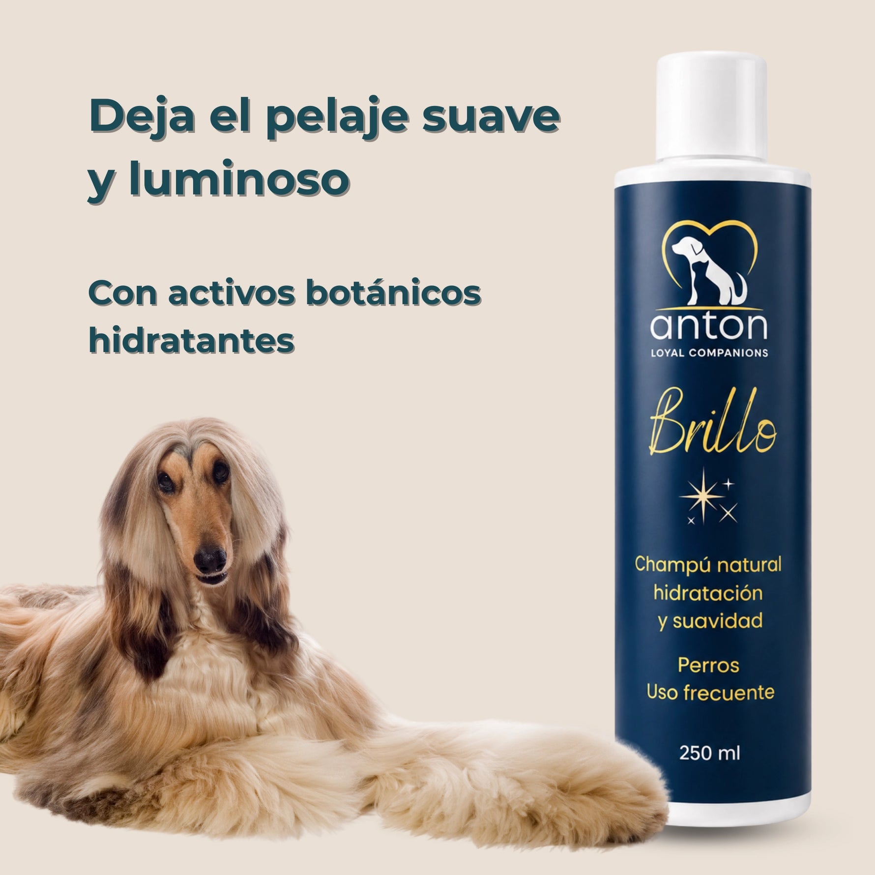 Champú natural Brillo ANTON Loyal Companions para perros. Con activos botánicos hidratantes que ayudan a dejar el pelaje suave, brillante y sedoso, apto para el uso frecuente.