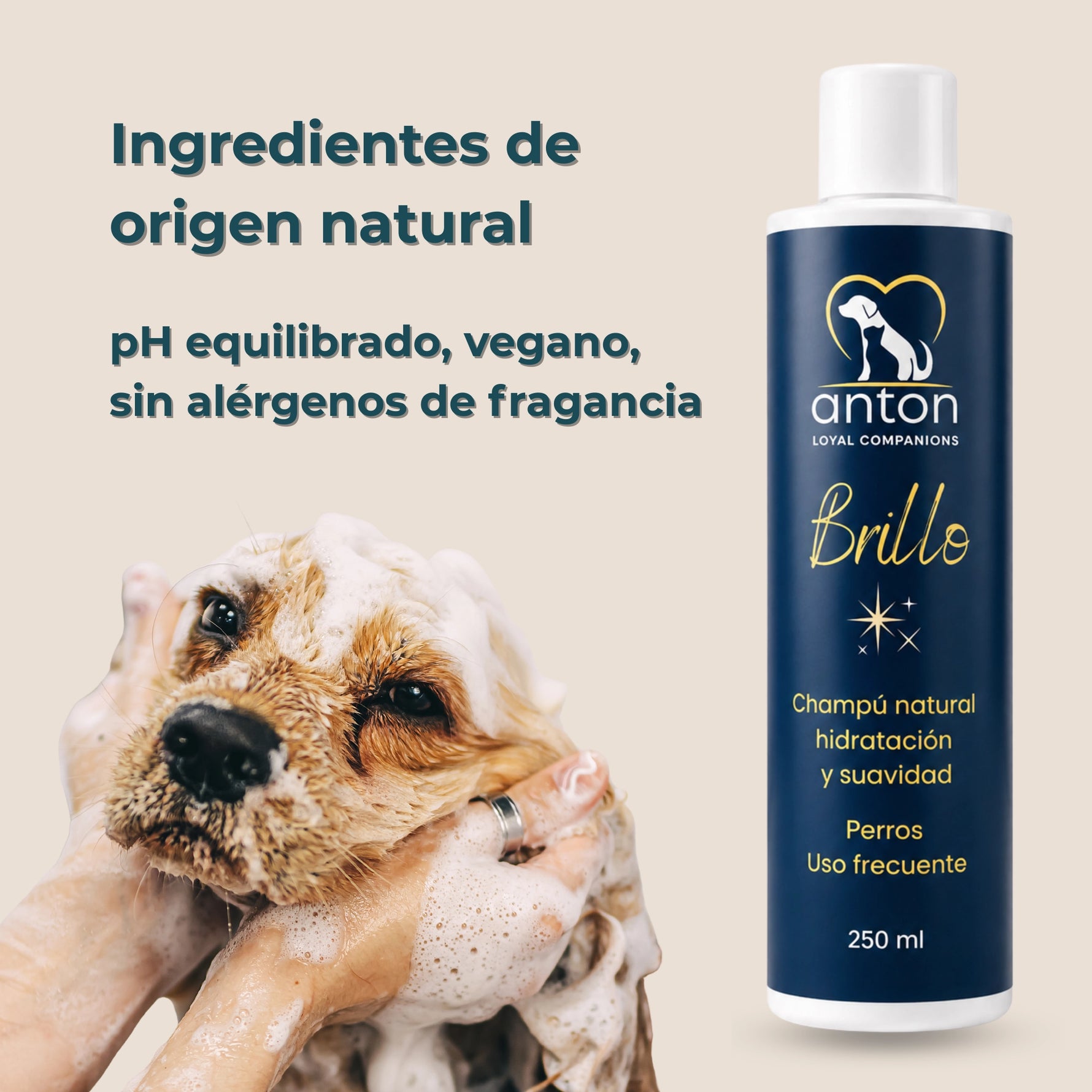Champú natural Brillo ANTON Loyal Companions para perros con ingredientes de origen natural. Fórmula con pH equilibrado, vegana y sin alérgenos de fragancia para hidratar y suavizar el pelaje.