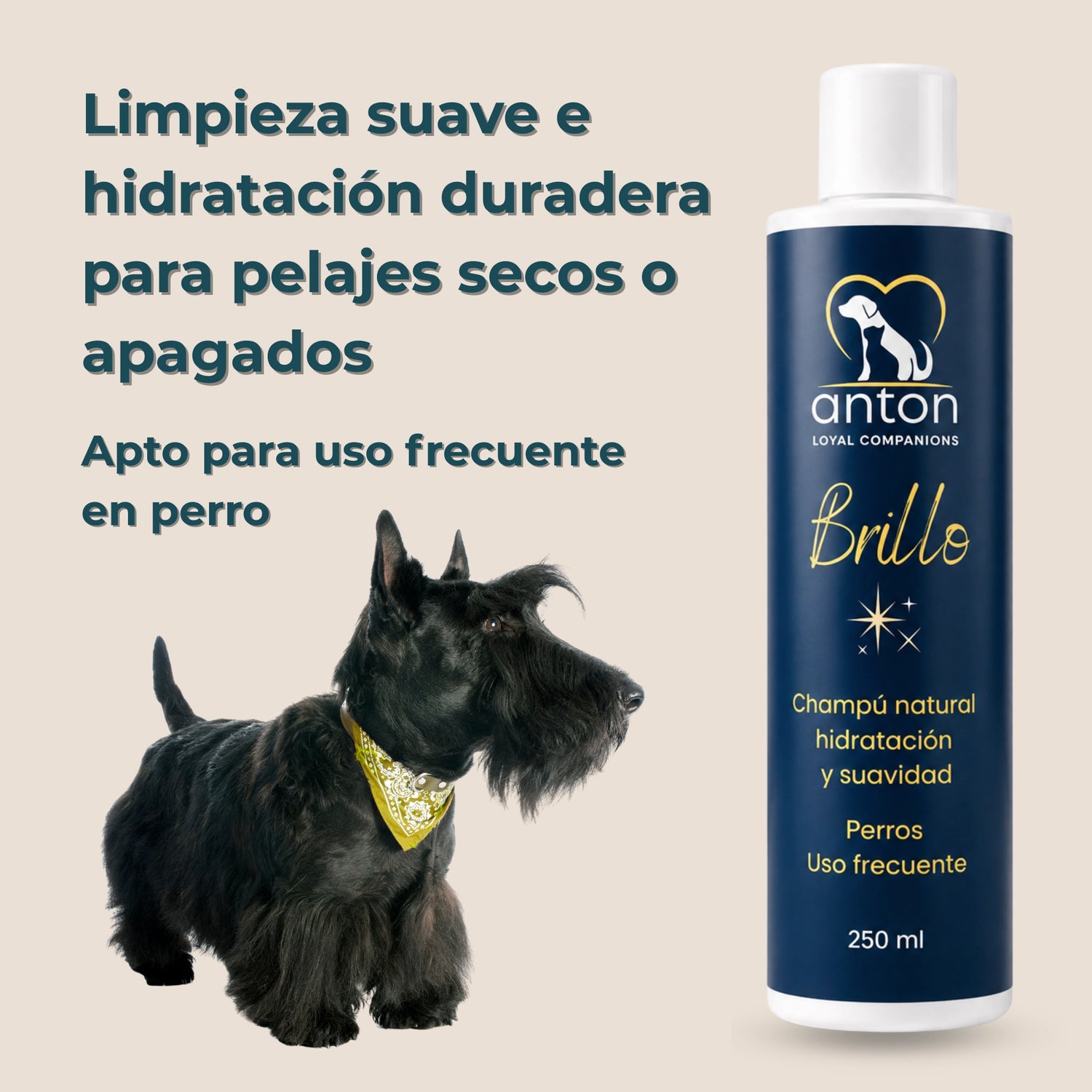 Champú natural Brillo ANTON Loyal Companions para perros. Limpieza suave e hidratación duradera para pelajes secos o apagados, apto para el uso frecuente.