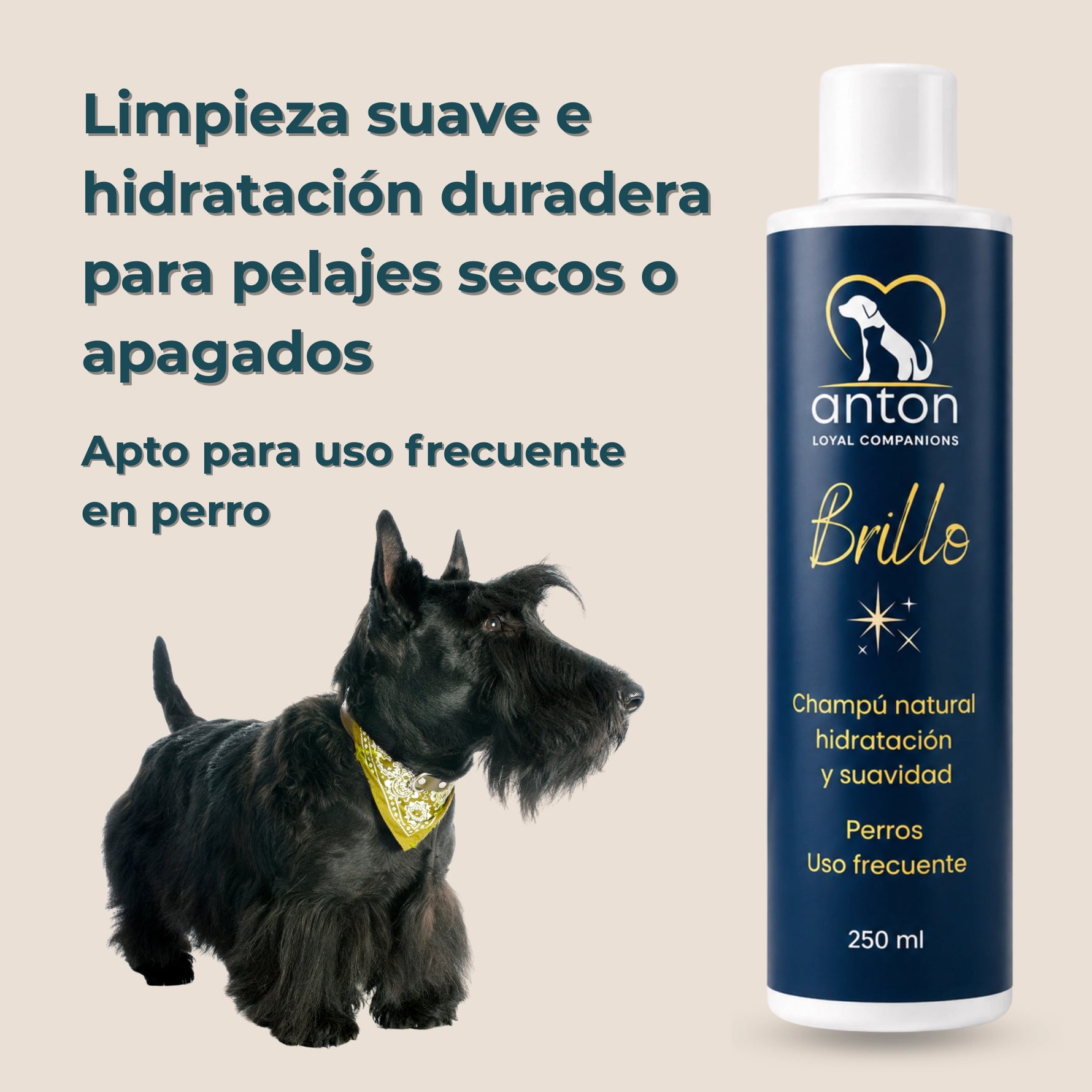 Champú natural Brillo ANTON Loyal Companions para perros. Limpieza suave e hidratación duradera para pelajes secos o apagados, apto para el uso frecuente.