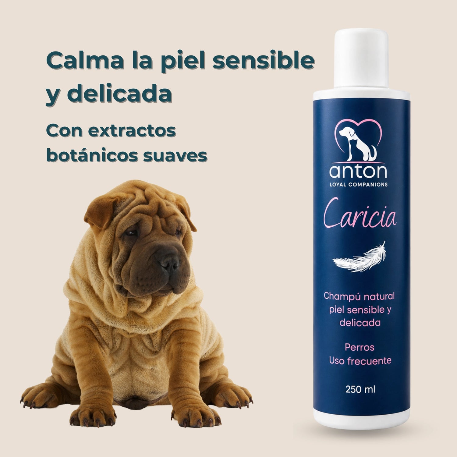 Champú natural Caricia ANTON Loyal Companions para perros con piel sensible y delicada. Con extractos botánicos suaves que ayudan a calmar y cuidar la piel.