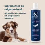 Champú natural Caricia ANTON Loyal Companions para perros con piel sensible y delicada. Fórmula con ingredientes de origen natural, pH equilibrado, vegana y sin alérgenos de fragancia.