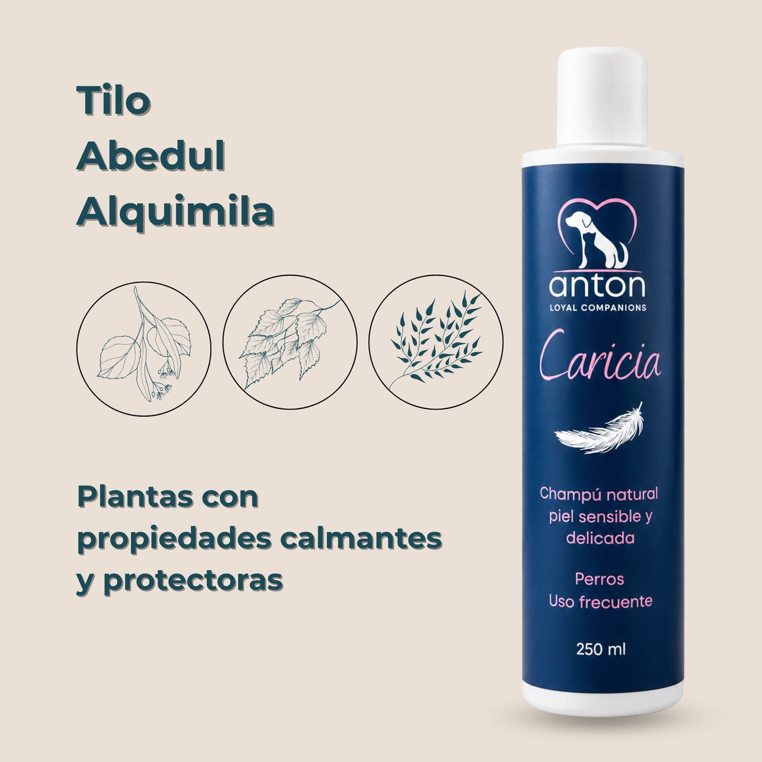 Champú natural Caricia ANTON Loyal Companions para perros con piel sensible y delicada. Con tila, abedul y alquimila, plantas con propiedades calmantes y protectoras.