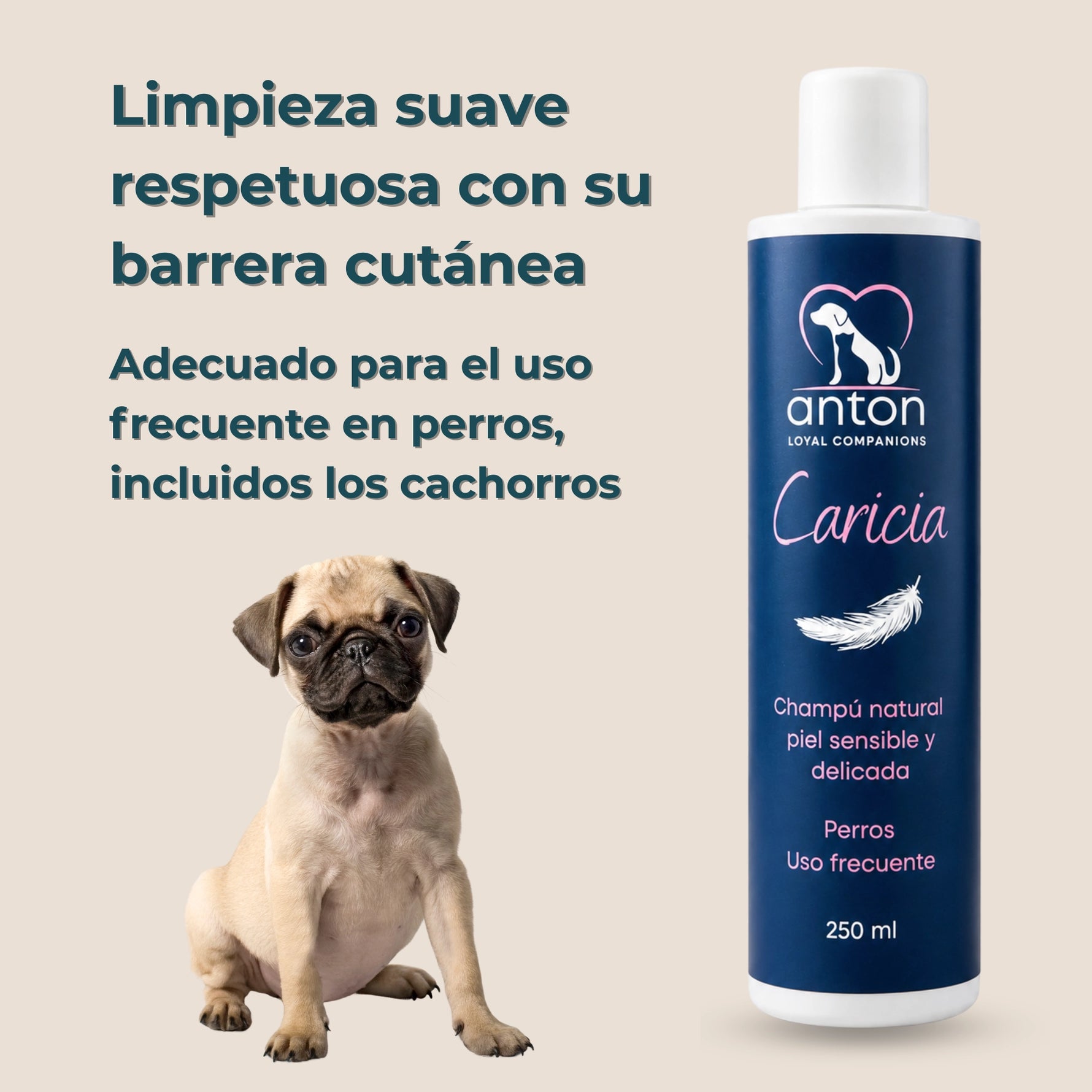 Champú natural Caricia ANTON Loyal Companions para perros con piel sensible y delicada. Limpieza suave que respeta la barrera cutánea, apto para el uso frecuente, incluso en cachorros.