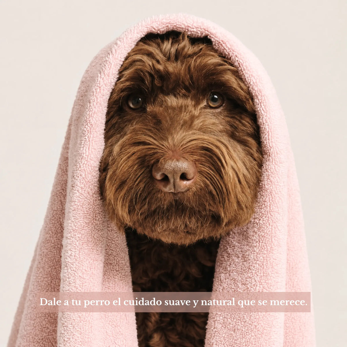 Perro de pelaje marrón envuelto en una toalla rosa después del baño, ilustrando el cuidado suave del pelaje con el champú Frenky Lewis.