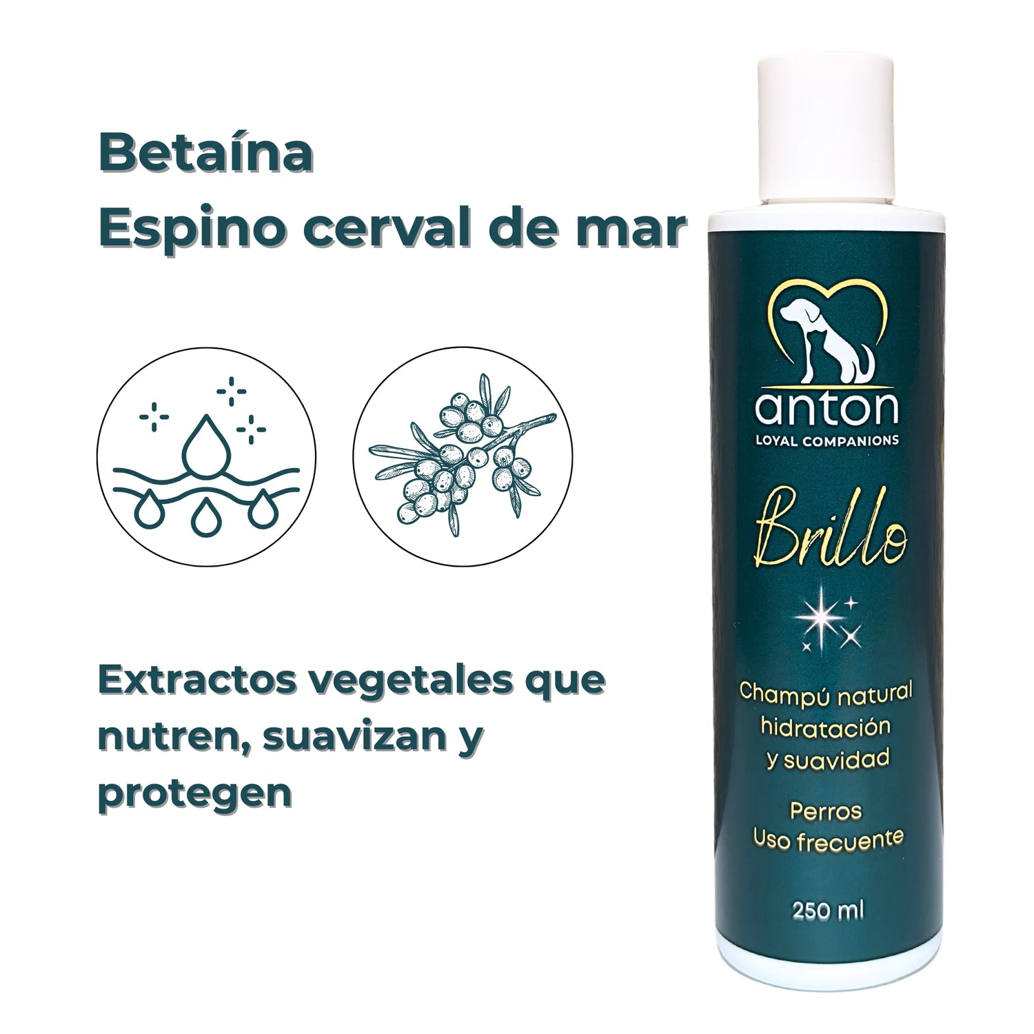 Betaína y espino cerval de mar – champu natural para perros