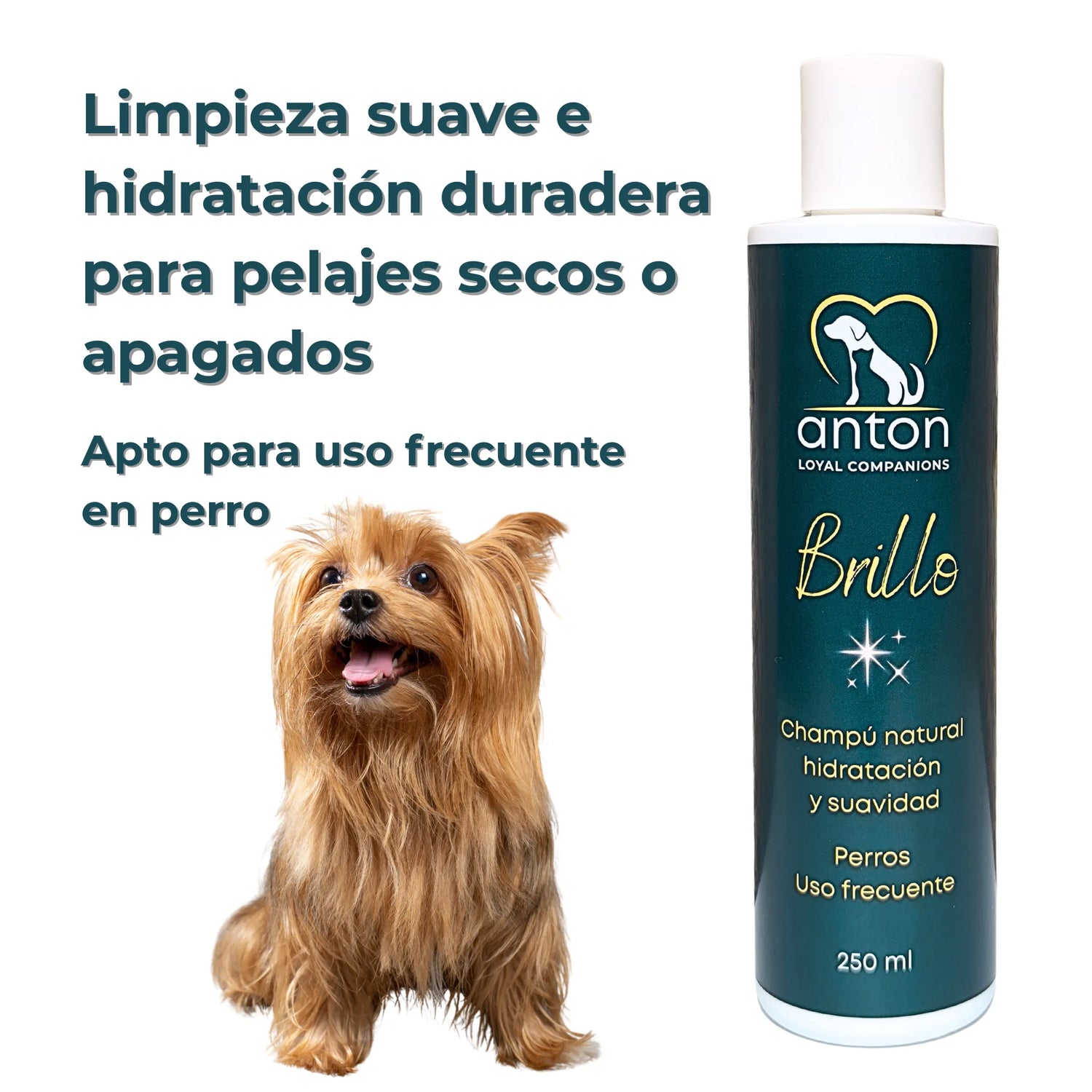 Hidratacion para pelajes secos – champu Brillo uso frecuente