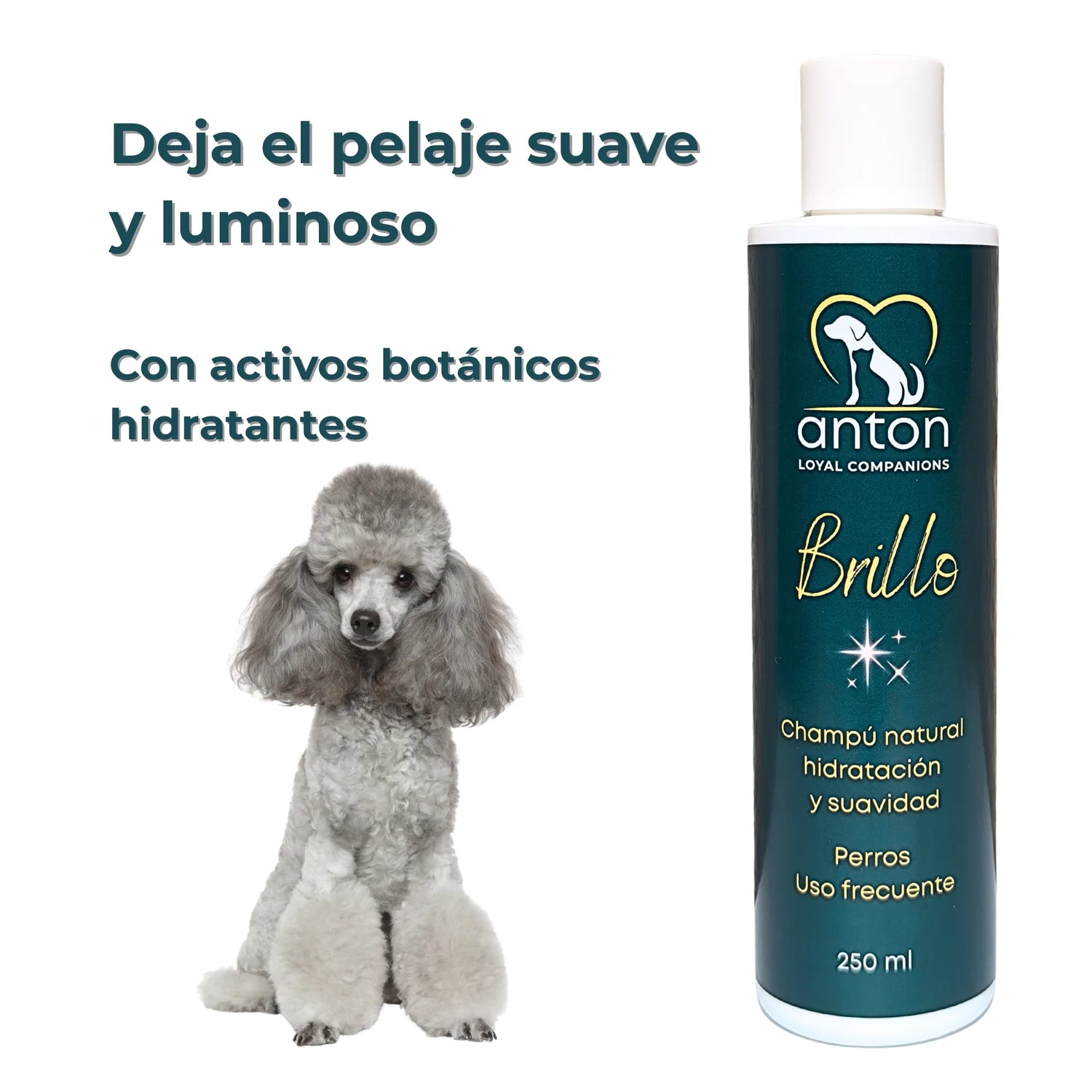 Champu que deja el pelaje suave y luminoso con activos botanicos
