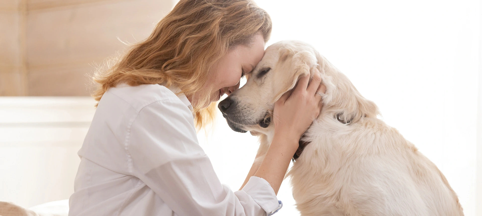 Persona acompañando con cuidado a su perro senior, reflejando vínculo, acompañamiento y bienestar en la etapa adulta.