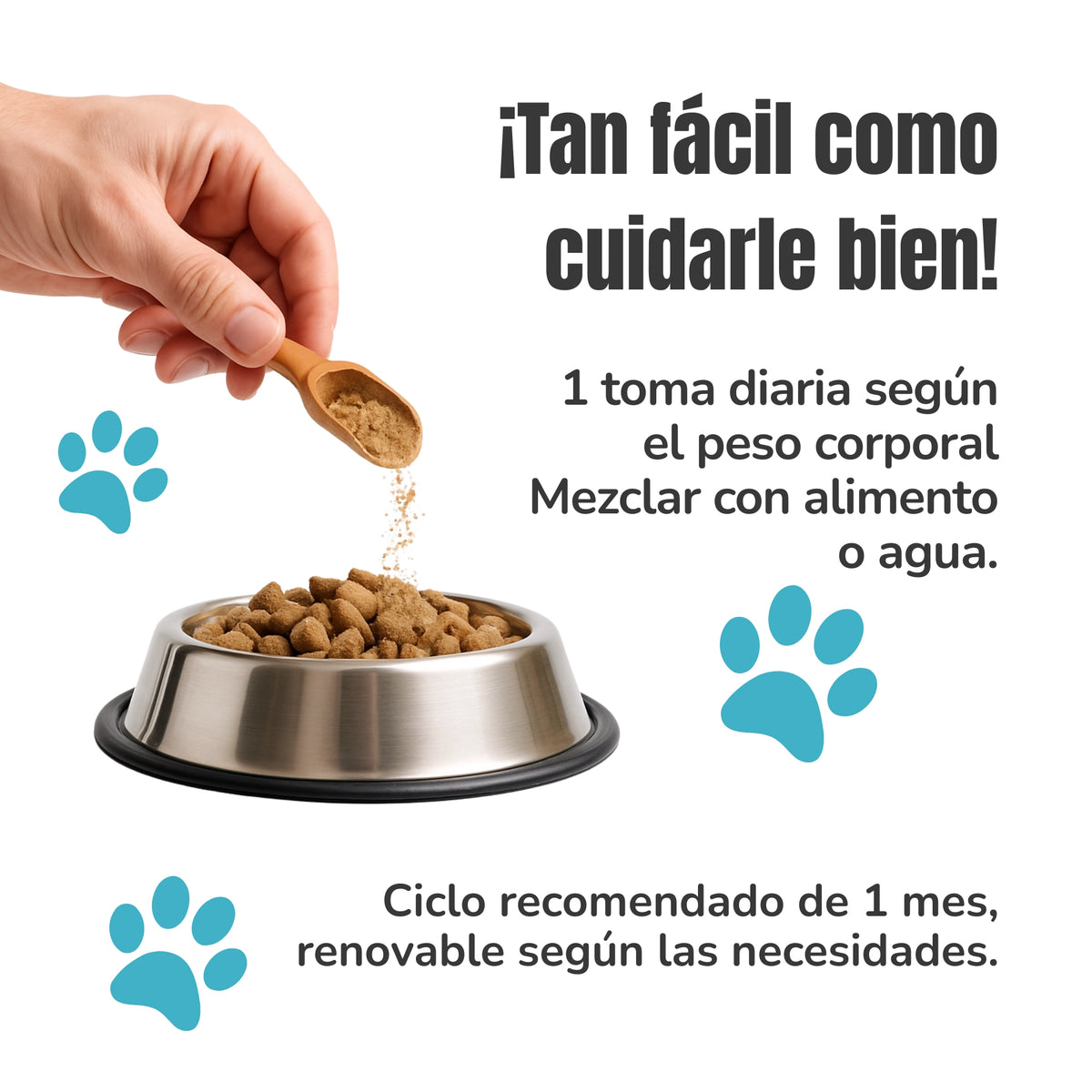 Modo de uso del Condroprotector natural para perros y gatos ANTON Loyal Companions. Suplemento articular con glucosamina, condroitina, MSM y Omega-3 para el confort articular y la movilidad.