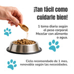 Modo de uso del Condroprotector natural para perros y gatos ANTON Loyal Companions. Suplemento articular con glucosamina, condroitina, MSM y Omega-3 para el confort articular y la movilidad.