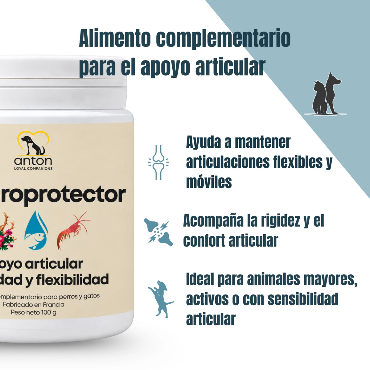 Infografía del Condroprotector ANTON para perros y gatos, complemento alimentario de 100 g que ayuda a mantener las articulaciones flexibles y móviles, favorece el confort articular y está indicado para animales mayores o activos.