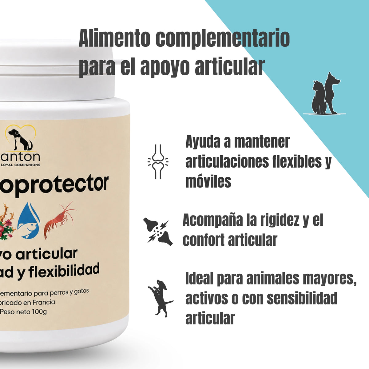 Infografía sobre el Condroprotector para perros y gatos destacando su apoyo a la movilidad y flexibilidad articular, el acompañamiento del confort articular y su uso en animales mayores, activos o con sensibilidad articular.