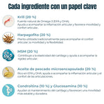 Infografía de la composición del Condroprotector ANTON para perros y gatos: krill (20 %), harpagofito (20 %), MSM (20 %), aceite de pescado (20 %), condroitina (10 %) y glucosamina (10 %).