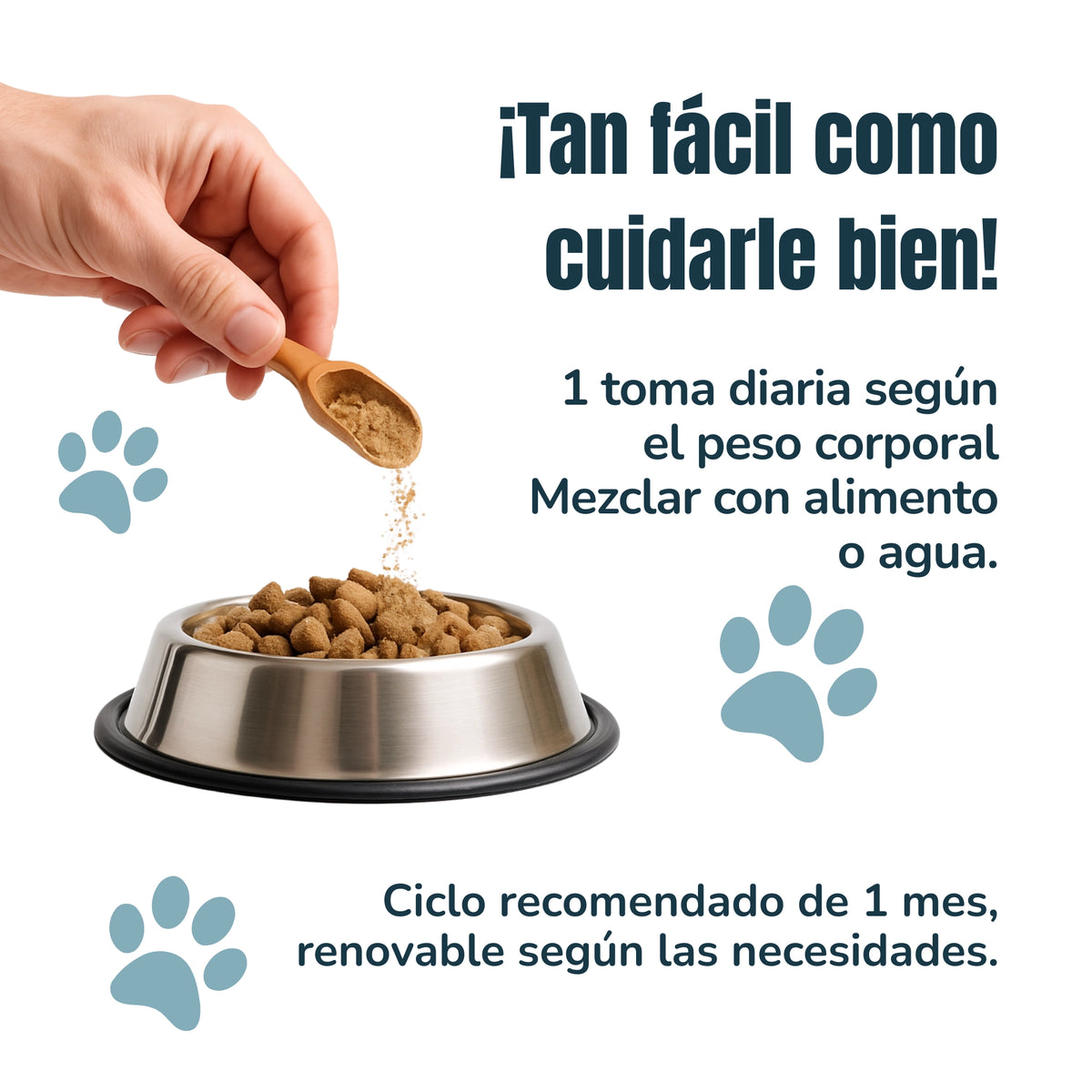 Infografía del modo de empleo del Condroprotector ANTON para perros y gatos. Una mano añade el complemento en polvo a un cuenco de pienso. Una toma diaria según el peso, mezclada con alimento o agua, durante un mes renovable.