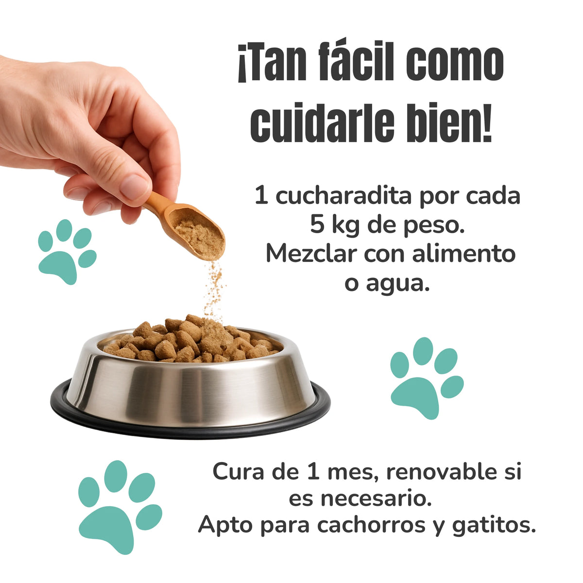 Cómo usar el suplemento para la flora intestinal de perros y gatos una cucharadita mezclada con alimento o agua ANTON
