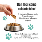 Cómo usar el suplemento para la flora intestinal de perros y gatos una cucharadita mezclada con alimento o agua ANTON