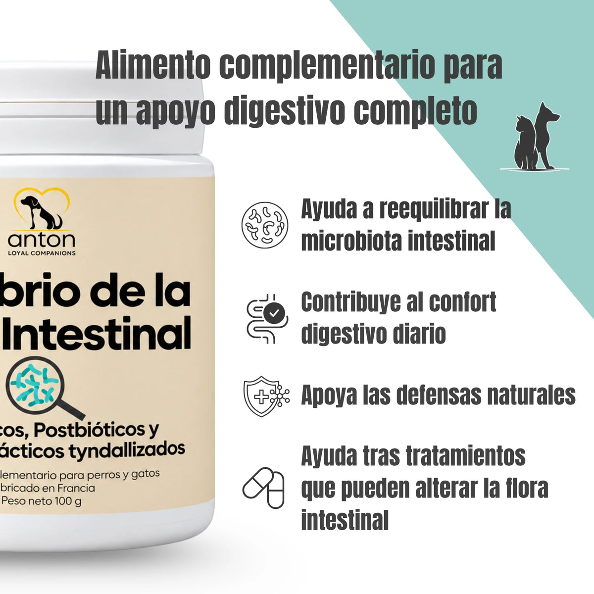 Equilibrio de la flora intestinal para perros y gatos de ANTON Loyal Companions, apoyo digestivo completo para ayudar a reequilibrar la microbiota, favorecer el confort digestivo y apoyar las defensas naturales.