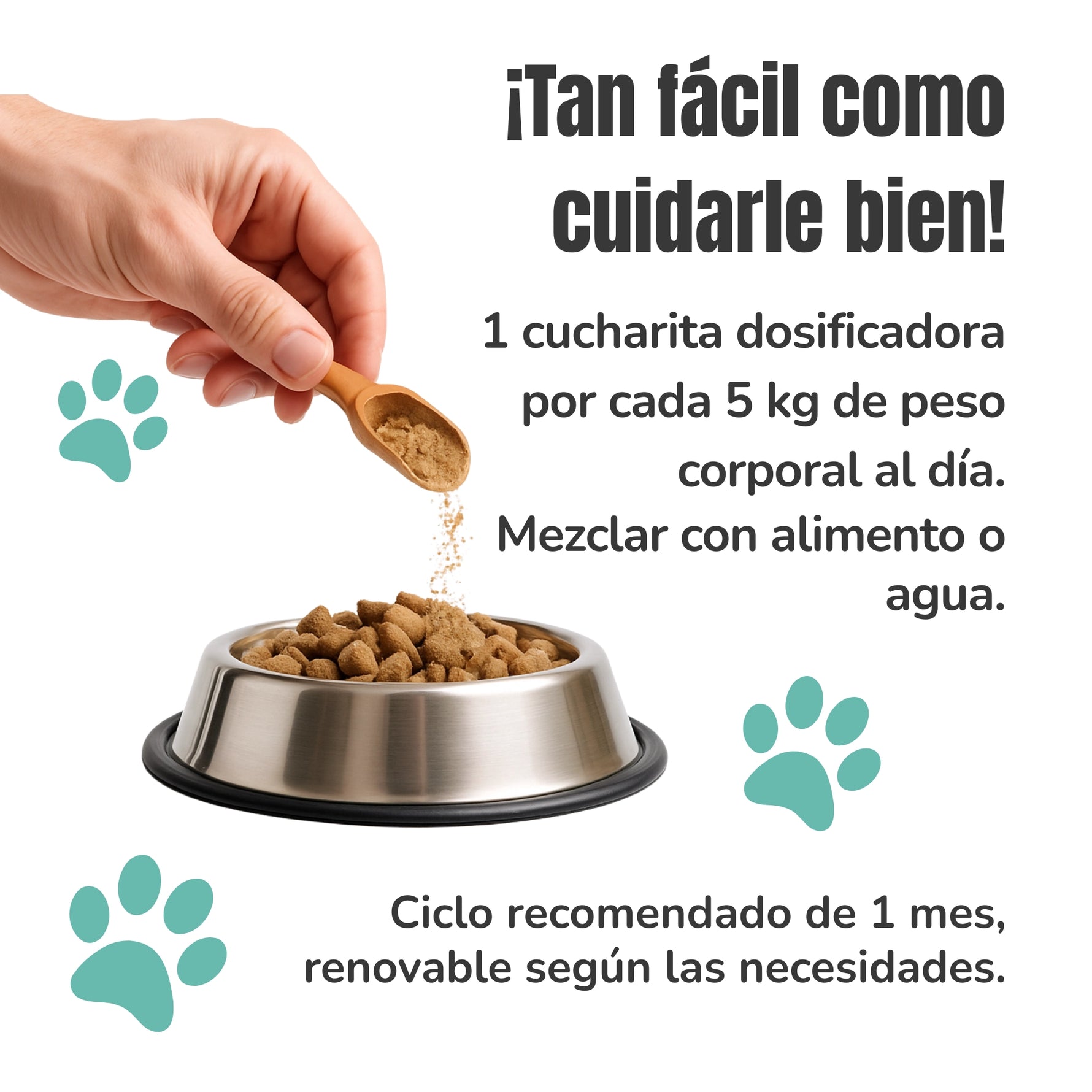 Modo de uso del suplemento Equilibrio de la Flora Intestinal para perros y gatos ANTON Loyal Companions. Fórmula con prebióticos, postbióticos y fermentos lácticos para la microbiota y el confort digestivo.