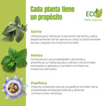 Infografía de Equilibrio Hormonal ECO ANTON LC que presenta los principales ingredientes de la fórmula y sus usos tradicionales. Incluye salvia, melisa y pasiflora, utilizadas para acompañar la regulación de los ciclos hormonales, favorecer la calma natural y apoyar el bienestar emocional de perros y gatos