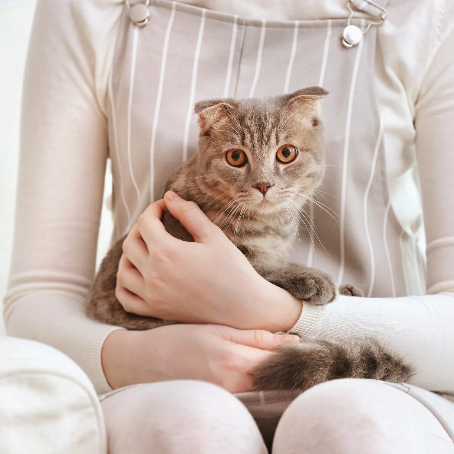 Gato sostenido con cuidado por su tutora, evocando la reflexión y la atención necesaria para evitar errores en el cuidado natural.