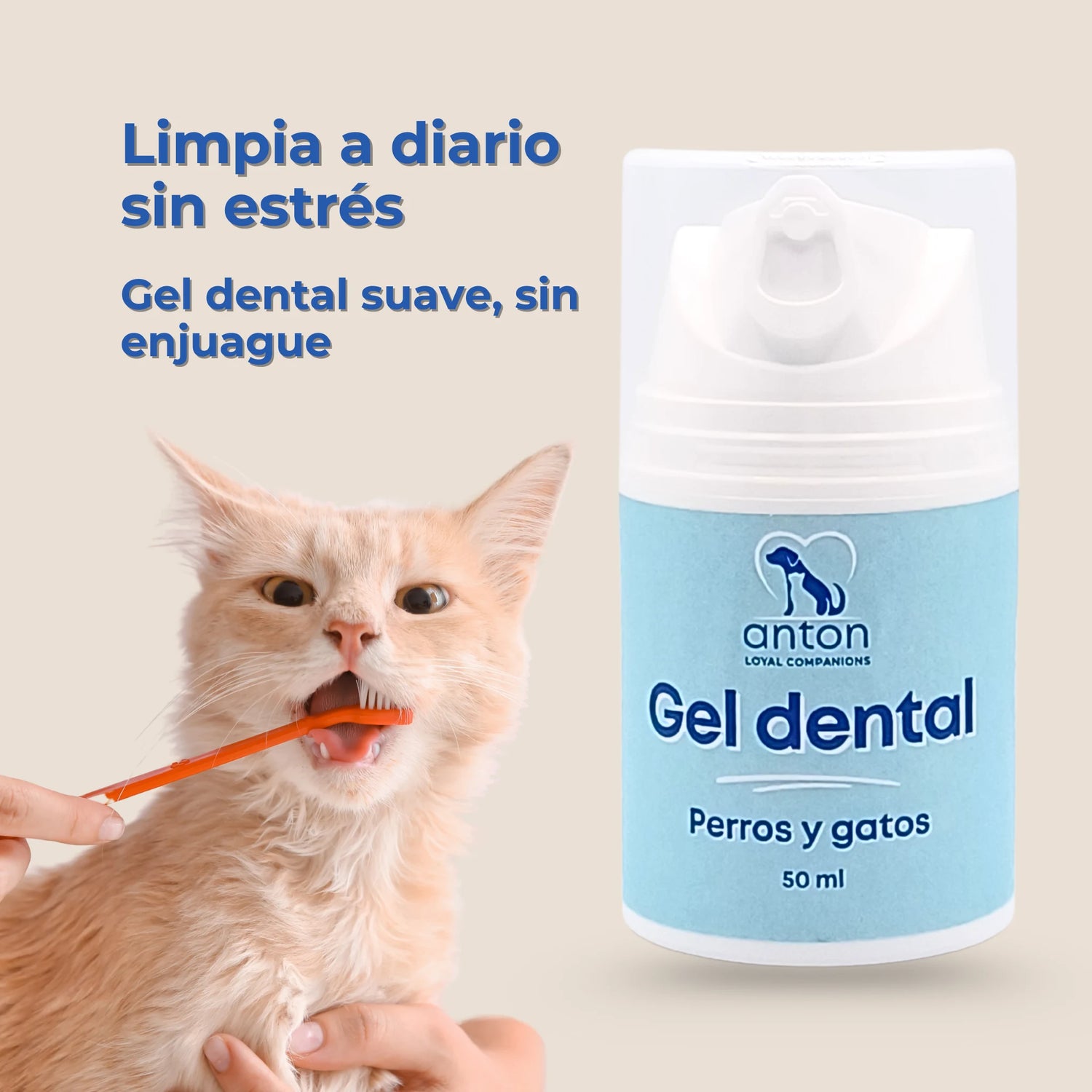 Gato siendo cepillado mientras se muestra el Gel dental natural para perros y gatos de ANTON Loyal Companions, limpieza diaria sin enjuague.