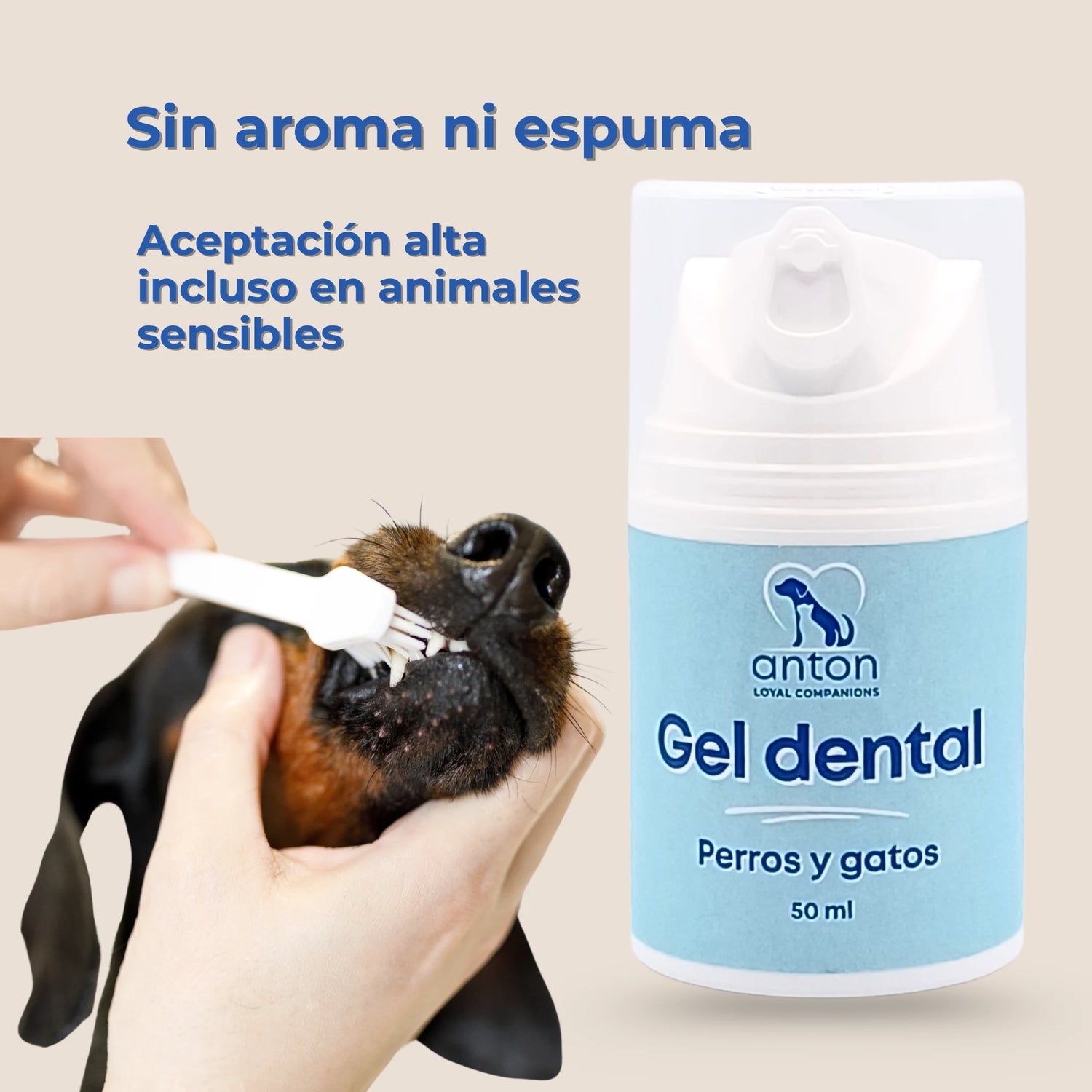 Perro siendo limpiado con cepillo dental mientras se muestra el Gel dental natural para perros y gatos de ANTON Loyal Companions, sin aroma ni espuma y apto para animales sensibles.