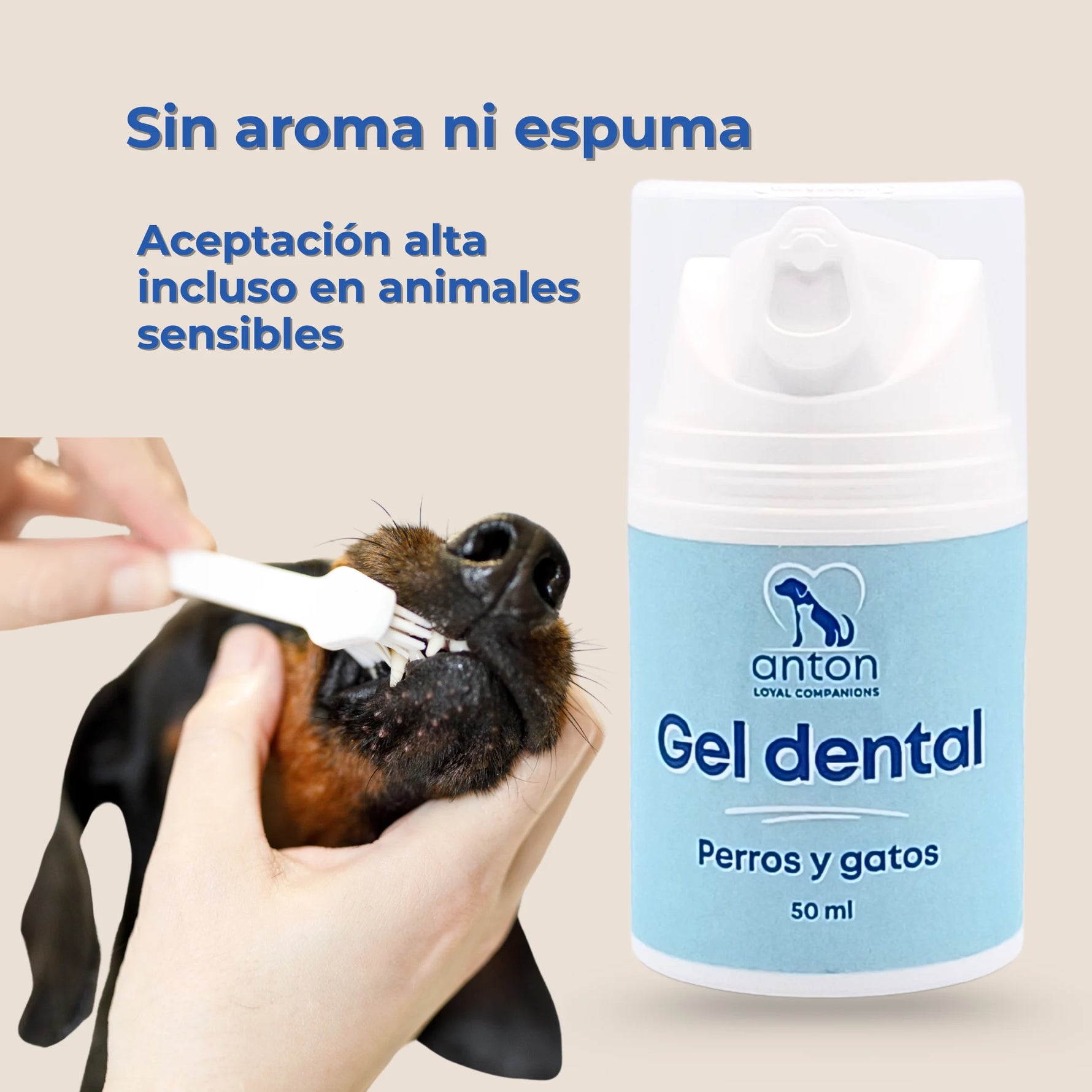 Perro siendo limpiado con cepillo dental mientras se muestra el Gel dental natural para perros y gatos de ANTON Loyal Companions, sin aroma ni espuma y apto para animales sensibles.