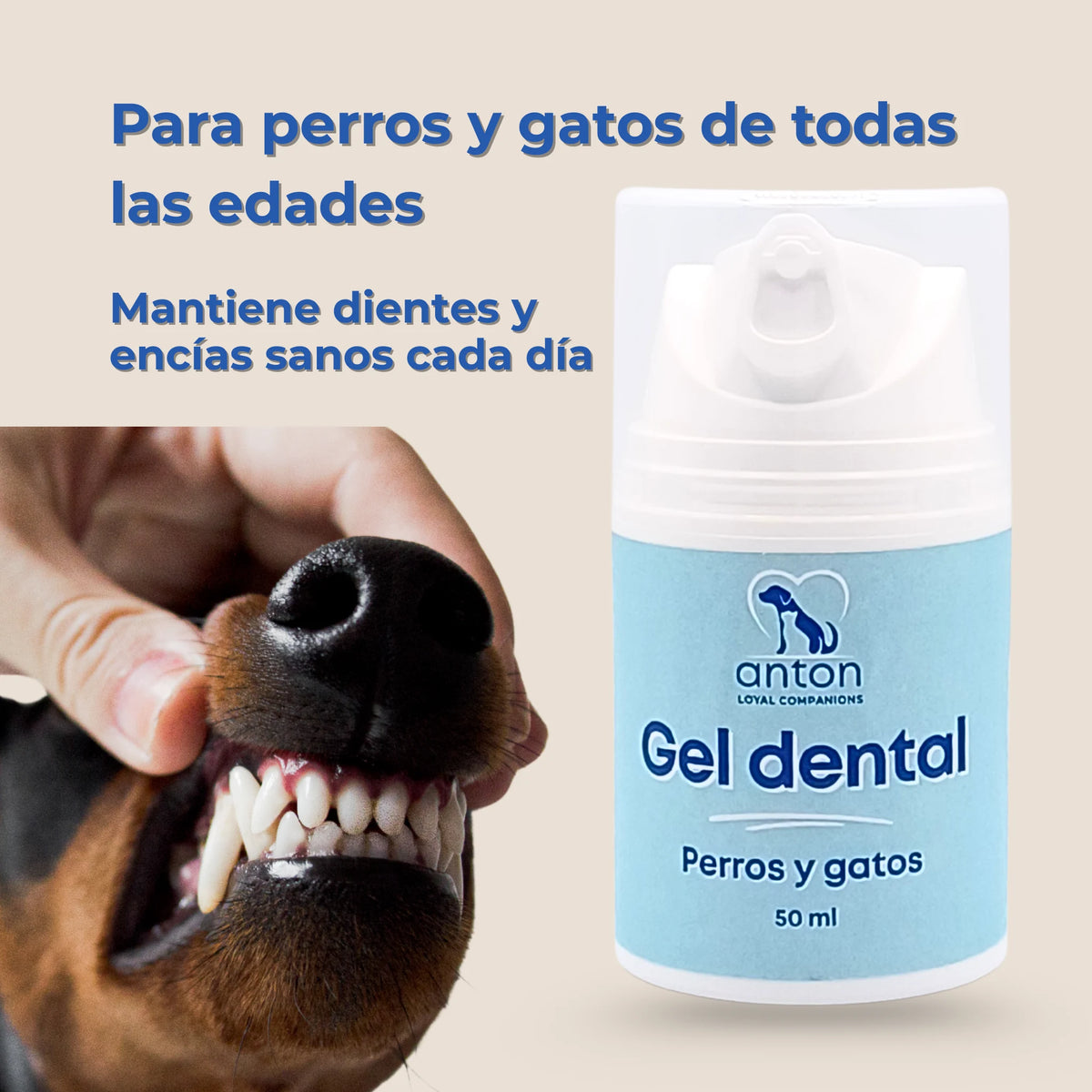 Perro mostrando dientes limpios junto al Gel dental natural para perros y gatos de ANTON Loyal Companions, adecuado para todas las edades y para mantener encías sanas.