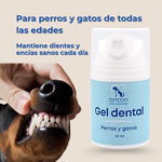 Perro mostrando dientes limpios junto al Gel dental natural para perros y gatos de ANTON Loyal Companions, adecuado para todas las edades y para mantener encías sanas.