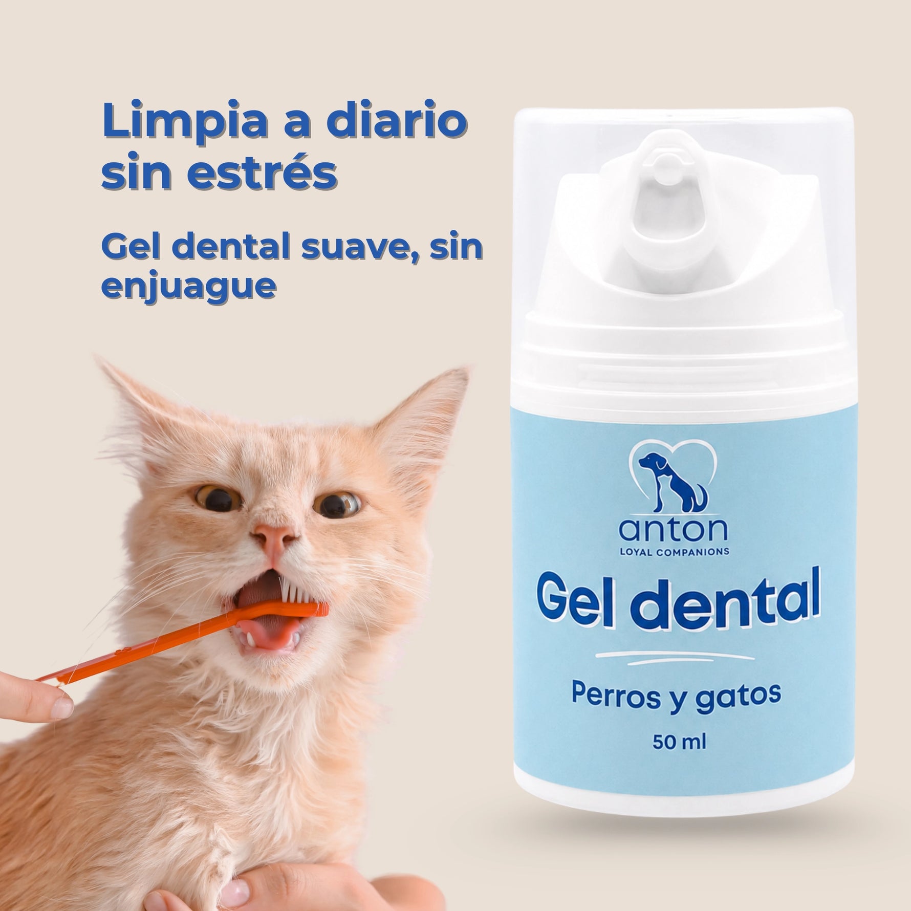 Gel dental natural ANTON para perros y gatos con un gato durante el cepillado dental. Limpieza diaria suave, sin enjuague y sin estrés.